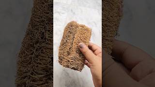 Making Natural Loofah like chandrima135 shorts loofah ashortaday ytshorts [upl. by Ariahs863]