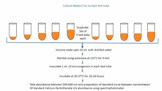 Microbial Assay of Calcium Pantothenate Vitamin B5 [upl. by Mcwilliams]