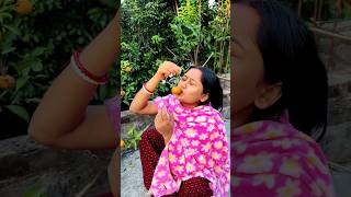 নিশিতা লোকের বাড়ির গাছ থেকে লেবু চুরি করলো 😛😁shorts minivlog [upl. by Croom941]