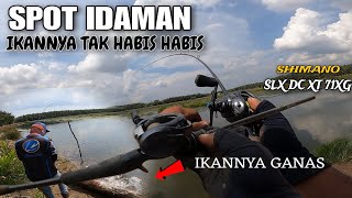 CASTING IKAN GABUS‼️💯SLX DC XT VS HARUAN DELTA  SPOT PULAU SEBERANG [upl. by Veator]