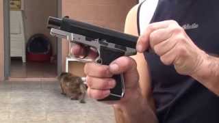 Daisy 5501 Blowback Co2 Pistol [upl. by Palua]