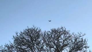 Beech V35B Bonanza N4272S flying over my house [upl. by Soraya]