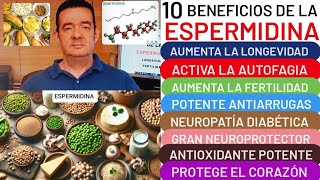 10 BENEFICIOS de la❤️ESPERMIDINA❤️LONGEVIDAD💪ANTIARRUGAS😮 FERTILIDAD💗ACNÉ👍DIABETES👏CORAZÓN💕AUTOFAGIA [upl. by Aleedis]