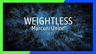 Ultimate Relaxation Weightless by Marconi Union  Tranquil Forest Night amp Celestial Beauty [upl. by Bradway670]