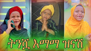 ትንሿ እማማ ዝናሽ😂😂😂 ህፃኗ ቲክቶከር በሳቅ ገደለችን  Habeshan Tikrok Compilation 2023 [upl. by Melgar993]