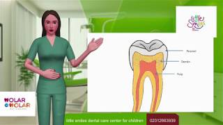 Understanding caries [upl. by Nihi]