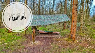 woodland tarp camping [upl. by Aitan393]