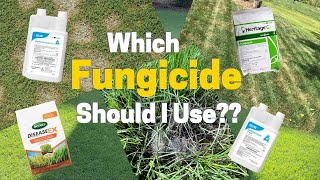 Which Fungicide Should I Use In My Lawn [upl. by Gruver]