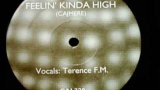 Cajmere feat Terence FM  Feelin Kinda High Mix 1 [upl. by Arrec]