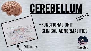 Cerebellum  Functional Unit  Clinicals  QNA  PG  Part 22 [upl. by Ehrman]