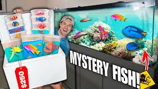 250 SEA CREATURE Mystery FISH BOX For My SALTWATER AQUARIUM shopping spree [upl. by Philipps]