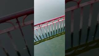 Rewalsar Lake❤️shorts shortsvideo viral himachal rewalsar lake morning travel youtube [upl. by Eelime]