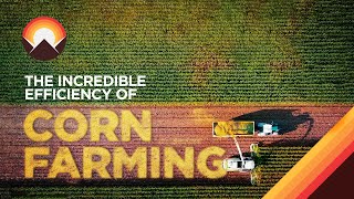 The Incredible Logistics Behind Corn Farming [upl. by Bronson724]