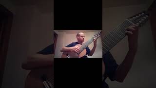 Le Papillon Op50 No13 Allegro Part 2  Mauro Giuliani  10 String Guitar [upl. by Ogden]