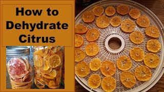 Dehydrating Citrus in a Food Dehydrator  Dehydrating Oranges and Grapefruit [upl. by Wartow248]