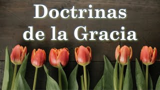 Clase No 50 quotDoctrinas de la Graciaquot ¿eEs posible que un nacido de nuevo viva una vida de pecado [upl. by Aonehc191]