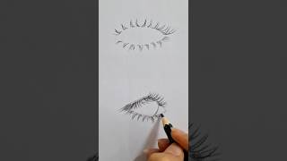 how to draw eyelashes for beginnersart drawing short [upl. by Menken304]