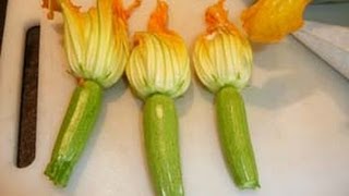 courgettes fleurs mousse rascasse [upl. by Cole]