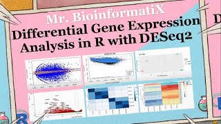 Differential Gene Expression Analysis in R with DESeq2 Bioinformatics Tutorial for Beginners [upl. by Ianaj]