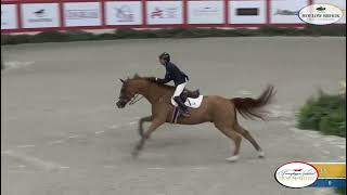 Laura Chapot US ridding Calafornia Ultimo  Lux  Pennsylvania Horse Show references [upl. by Ronoh]