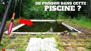 Y atil du POISSON dans cette PISCINE ABANDONNÉE  je ne pensais jamais prendre ça dedans [upl. by Annayehc]