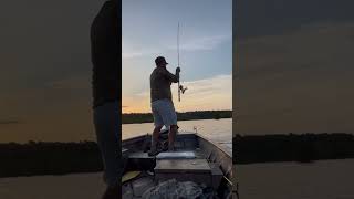 🔥Jiggin summer crappie fishing southcarolina santeecooper crappie [upl. by Nuyh]