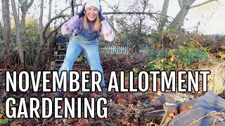 NOVEMBER ALLOTMENT GARDENING  ALLOTMENT GARDENING FOR BEGINNERS [upl. by Hudgens575]