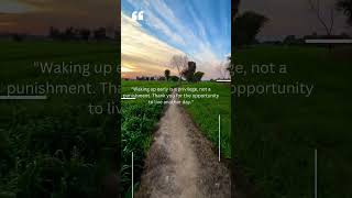 A Fresh Start Inspiring Good Morning Quotes shorts [upl. by Ahsinom]