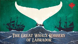 The Great Whale Robbery of Labrador [upl. by Aikrahs]