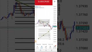 Fibonacci Retracement Strategy Didnt Work Until I Understood This [upl. by Darlleen124]