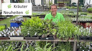 Spannende KräuterNeuheiten für Garten amp Balkon 🌿ColaStrauch Eibisch Olivenkraut amp IngwerMinze [upl. by Aihtnys]