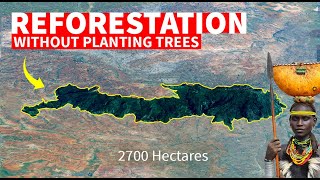 How They Transformed Desert Into Fertile Farmland amp Forests [upl. by Anib]