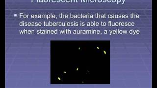 Microscopic Microbiology Part 2 [upl. by Garihc]