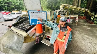 Concrete pump operators get a lesson in wild bear etiquette [upl. by Ijnek]