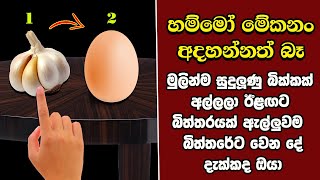 ඔබ මේවා දකින්නේ ජිවිතේ පළමු වතාවට EP313 [upl. by Anitan]