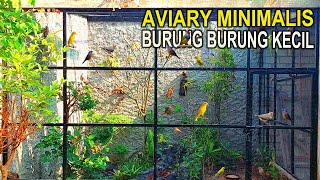 MEMBUAT AVIARY MINIMALIS 3m x 3m x 3m [upl. by Pall636]