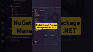 Centralize NuGet Package Management in NET Projects coding dotnet nuget pacakges [upl. by Reginnej861]