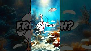 Could FISH Be Family animation shorts funny fyp [upl. by Karrah]