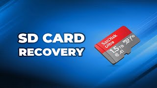 How to Recover Your SD Card│9 Methods [upl. by Nysa]