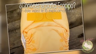 ECOPIPO G2 💜 Pañal Ecológico marca Mexicana como se AJUSTA cuantos ABSORBENTES VERSION ANTERIOR [upl. by Airotahs]