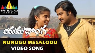 Yamadonga Video Songs  Nunugu Misalodua Video Song  JrNTR Priyamani  Sri Balaji Video [upl. by Rammus]