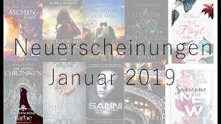 Neuerscheinungen Januar 2019  Neue Bücher  Der Buchschnack [upl. by Ayidan]