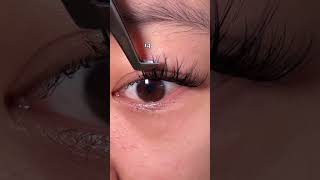 Wispy DIY Lash Mapping for Beginners 12 14 16 14 diylashextensions lashes lashtech makeup [upl. by Elinet]