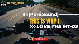 THIS IS WHY I LOVE MY MT09  Yamaha MT09 2021  Akrapovich Pure Sound 4K [upl. by Eboh]