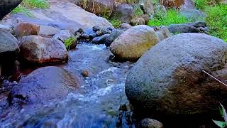 COZY UP Say Hello to Soothing Water amp Piano relaxing music river sound [upl. by Linson300]