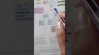 Gram negative bacteria classification [upl. by Marijn]