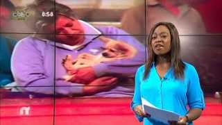 Excerpt from Newsround on 5th October 2014  pet blessing [upl. by Nel]