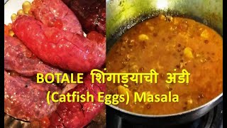 Botale शिंगाड्याची अंडी Catfish Eggs Masala  Hidden Receipe of Indian Fisherman botale catfish [upl. by Madson770]