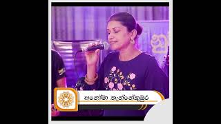 sinhala liveperformance sinhalamusic sinhalasindu sinhalasongs live [upl. by Miharbi464]