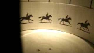 Horse zoetrope at Camera Obscura [upl. by Laeria]